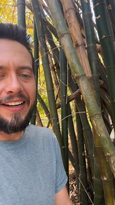 5.8K views · 59 reactions | Demonstrated here is Southern Praying...