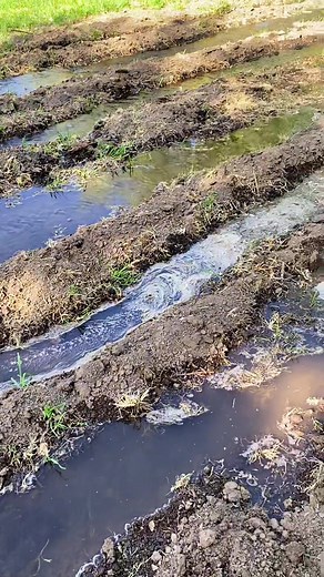 Hartfield Homestead on TikTok