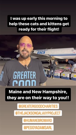 Jackson Galaxy on Reels