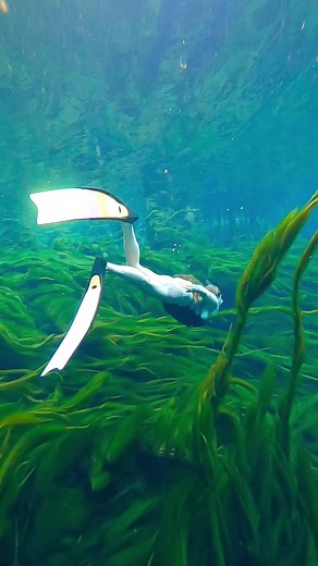 💚🧜‍♀️ #underwater #freediver #mermaid #underwaterworld