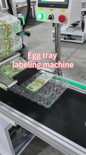 Automatic Egg Carton Labeling Machine | Egg Box Labeling Solution