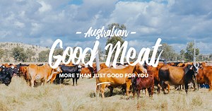 Understand Red Meat Land Use | Grazing Livestock | AGM