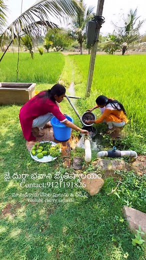 Sathakshi Cherry on Instagram: "మామిడికాయ చేపల పులుసు & ఫిష్ ఫ్ Youtube cherry sathakhi @cherry_sirisha_1482 @sathakshi_4811 @cherry_privateacc Snap: https://snap.openinapp.co/il1z8"