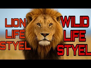 Lion Lifestyle Documentary | King of the Savannah | Powerful Lion Story Explained