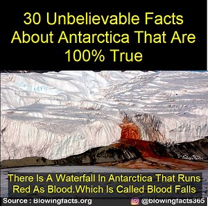 1.7M views · 957 shares | 30 Unbelievable Facts About Antarctica | Facts that will blow your mind | Facebook