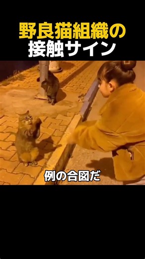入会方法を教えてください
