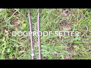 How to set a Dog Proof trap using a D.P. Setter