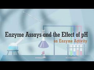 Enzyme Assays & the Effect of pH on Enzyme Activity | Biochemistry I (Practical) | BIO504P_Topic005