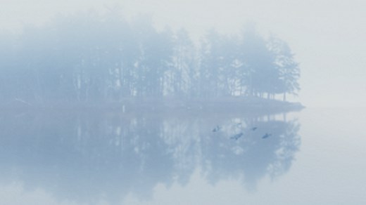 SCP-2316 | Know Your Meme