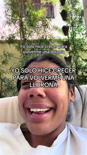 Película Wild Robot: Una crítica entusiasta