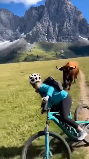 125K views · 494 reactions | The bull attacked a woman riding a bicycle. #fighter #animal #cows #fblifestyle #attack | Anyana Nature | Facebook