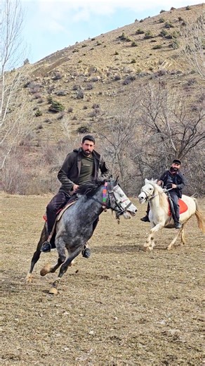 Mert Yılmaz on Instagram: "Eskiden dost olan düşmanmı olur @daglarinefendisi24 (süresiz dostluk antlaşmasını imzaladık 😅)"