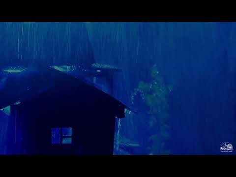 99% Instantly Fall Asleep with Powerful Night Rain & Thunder – Deep Sleep for Insomnia Relie