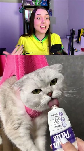 COMO CORTAR A UNHA DO SEU GATO?