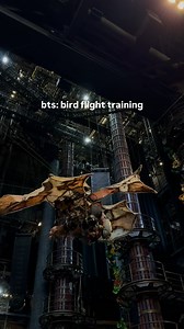 6.1K views · 6.7K reactions | hanging 50 feet above the crowd on a man-powered flying machine  | KÀ by Cirque du Soleil | Facebook