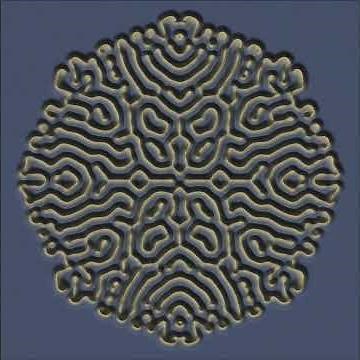 The a-maze-ing Gray-Scott model