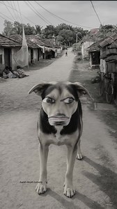 Monkey 🐒 VS dog 🤣😂||#funny #comedy #reel #viral #Facbookreels #viralshorts #trending | Aankh munh comedy