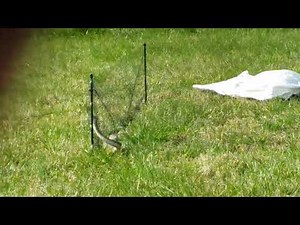 How to keep rattlesnakes out of your yard. SFB Snake Fence Barrier