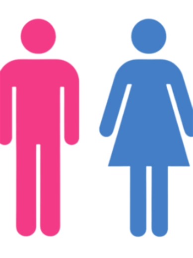 Understanding Gender Identity and Expression in LGBTQ Community