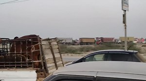 MANDI FULL JAM PACK 🔥🔥🔥✨ ENTRY OR EXIT FULL JAM KAR DIYA SHOQEENO NA 😍😍🔥✨ #Qurbaniقربانی #season2025 #bakraeid #northernbypassmandi | Qurbani - قربانی