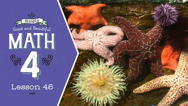 Lesson 45 | Simply Good and Beautiful Math 4
