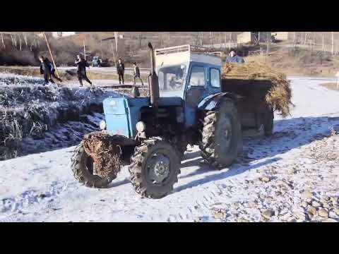 This tractor shouldn’t handle this load… but It does! Extreme Farming Risk.