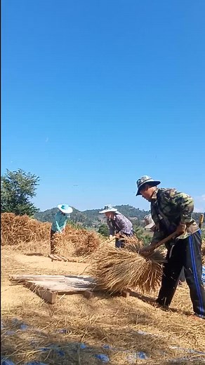 Harvesting Hay: Techniques and Tools Used Outdoors