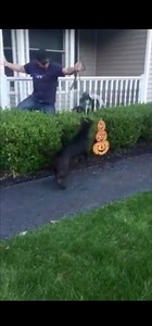 1.9M views · 4.5K reactions | That one Saturday afternoon when Strong...