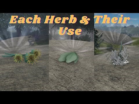 Warriors Cats Ultimate Edition: Herbs and their use to cats