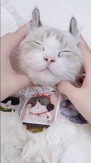 POV: He pays $0 rent and gets THIS Spa 💆‍♂️💸 (Living the Dream) 🇯🇵