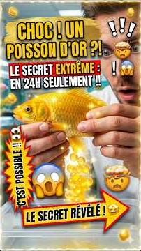 OMG ! Des œufs d'or ?! C'est IMPOSSIBLE ! 😱✨