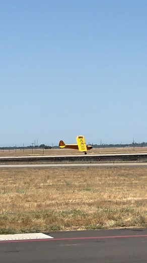 Exploring the Piper Cub's Aerobatics and Flight Capabilities