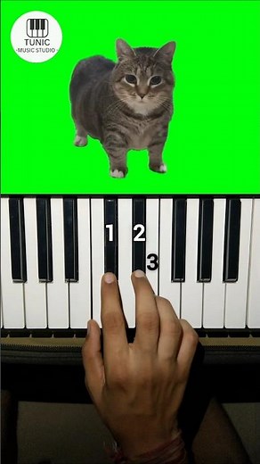 OIIA OIIA (Spinning Cat) Piano Tutorial #shorts