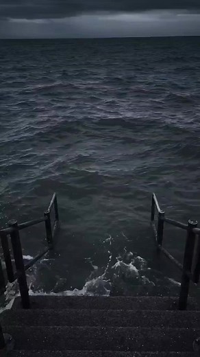 #memesontheearth #fyp #meme #funny #trending #foryoupage #viral