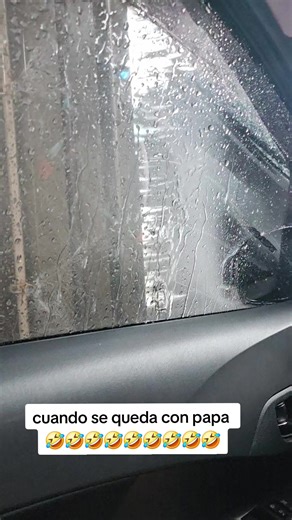 Videos de MAXI_CHIPU 🤪 (@maxichipu) con “Little Sherlock: The Funniest Mysteries - Maxtracks”