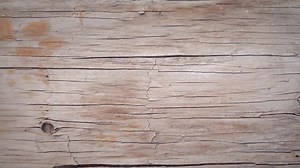 Homeschooling College