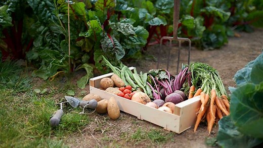 What is organic produce and how it benefits manufacturers