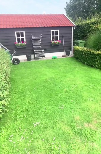 Exploring Shifting Realities Through Trippy Datamoshing