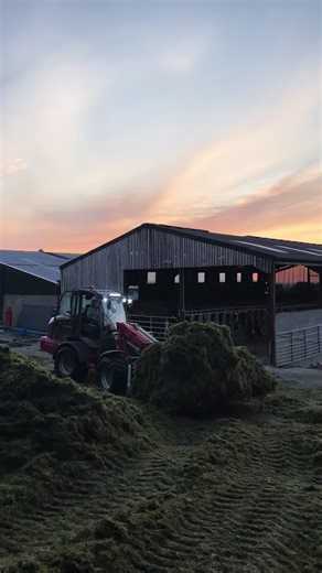 The Benefits of Silage in Farming Practices