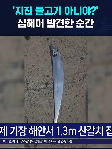 지진 물고기 아니야?'…심해어 발견한 순간 #심해어 #지진 #산갈치 #물고기 #낚시