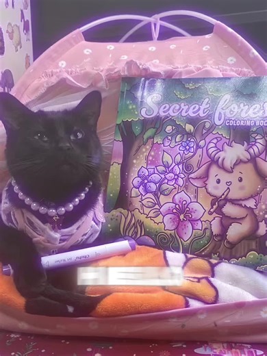 catsandcoloring1 on TikTok