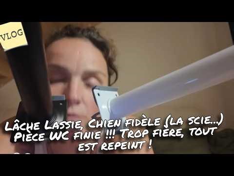 [. VLOG .] Lâche Lassie, Chien fidèle (la scie...) Pièce WC finie !!! Trop fière, tout est repeint !