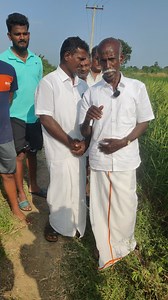 நீர் இல்லாத சுண்ணாம்பு பூமியில் ஆத்தூர் கிச்சலி சம்பா பாரம்பரிய நெல் சாகுபடி!! #ஞானப்பிரகாசம் | Tamil Culture