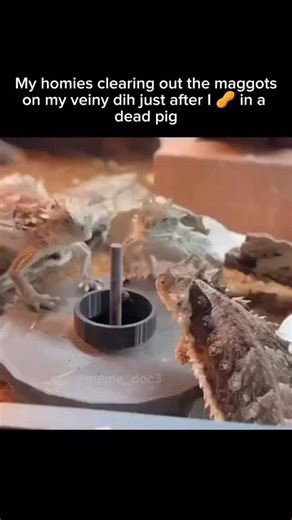 BrainLag | The odds of being hit by a meteor are incredibly low, but not zero. Here’s a breakdown of the probabilities: General Odds of Being Hit: ·... | Instagram