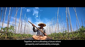 8.6K views · 251 reactions | On the floating gardens of Inle Lake,...