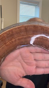 8.6K views · 58 reactions | Aragonite pipe it took less than 100 years to form. What does this say about the formation of stone and the age of the geological record? | Lost World Museum | Facebook