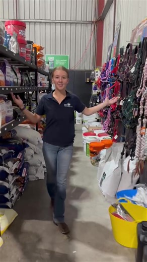 Essential Gear for Your Horse Show Season