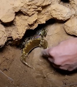 6.2M views · 34K reactions | Going treasure hunting in a cave! | Bloom | Facebook