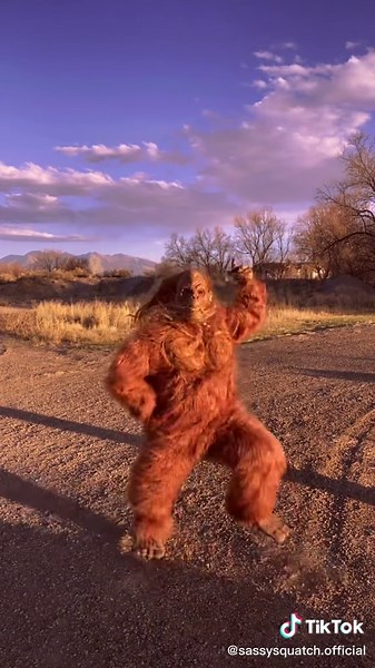 Sasquatch Dance Party in Banff