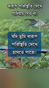 21K views · 640 reactions | খারাপ পরিস্থিতি দেখে পালিয়ে যেও না! #anisulislam #motivation #reelsvideo #best #reelsviral #viral | Anisul Islam | Facebook